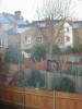 Back Gardens - Clapham, London : Oil on Canvas. Size: 40 x 30in (102 x 76cm). Available